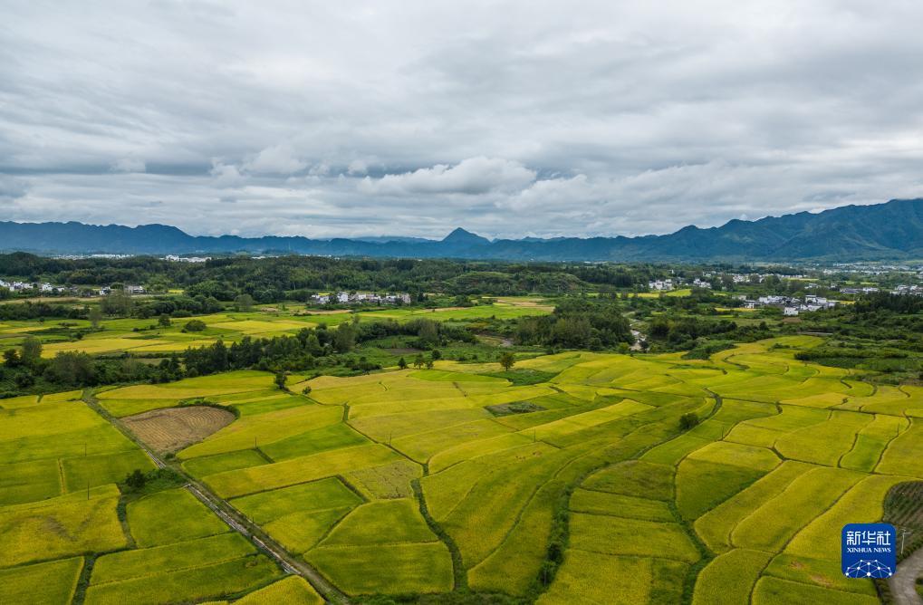 天天斗地主免费斗地主单机版